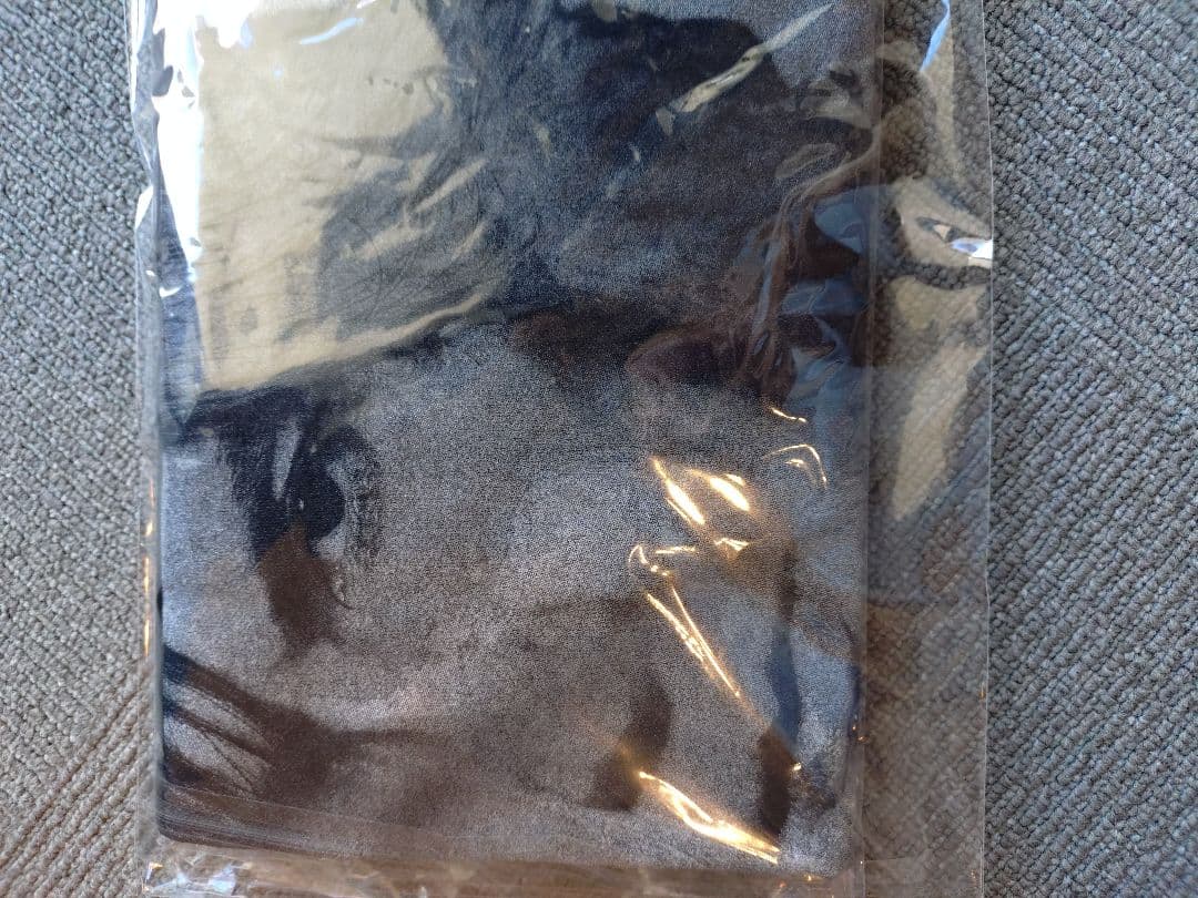 只者　Tシャツ　稲葉浩志　B'z