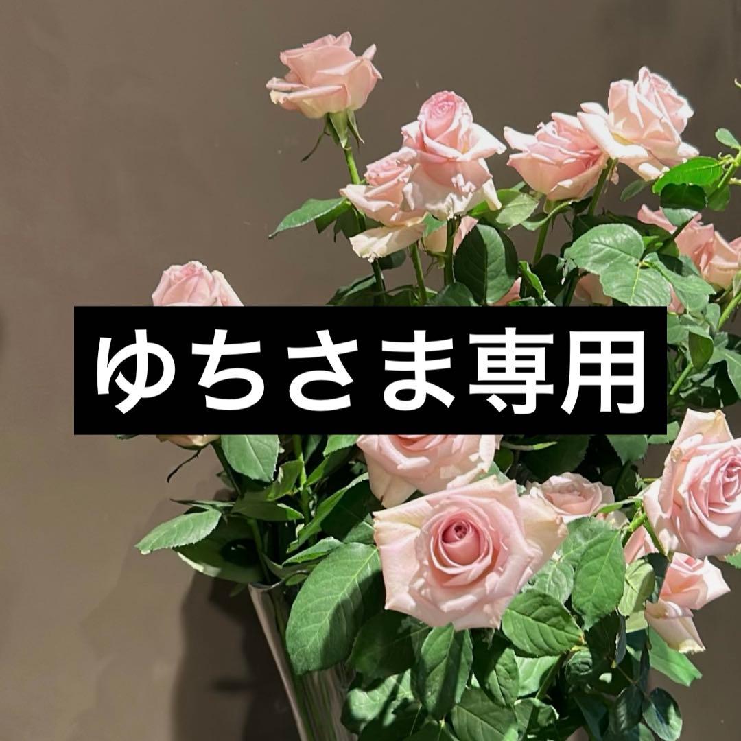 ゆちさま専用 ゆう専用 ゆう専用 ゆうさん 専用 ゆうさん専用 ゆうさん専用