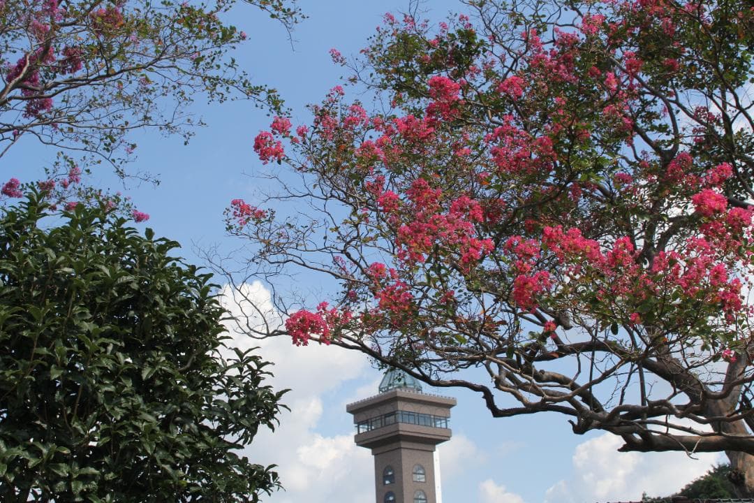 キヤノン EF28-105mm F3.5-4.5 マクロ USMズームレンズ