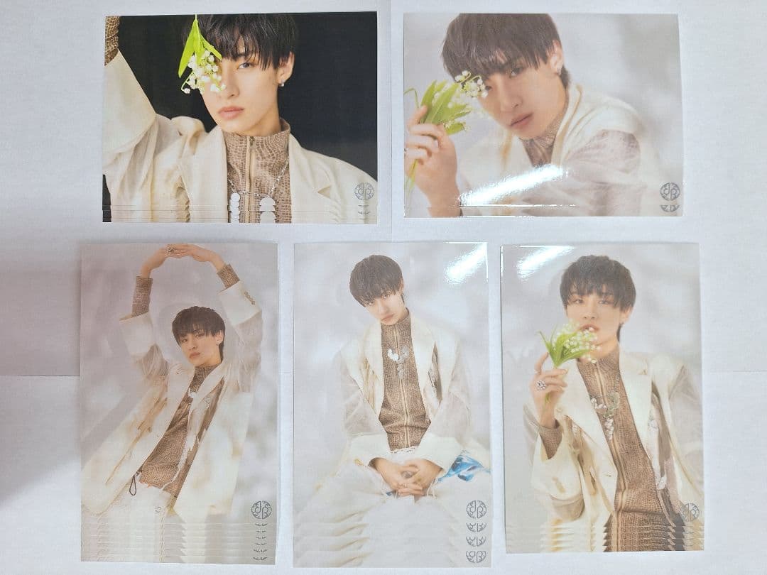 龍宮城　参　Ray　生写真セット