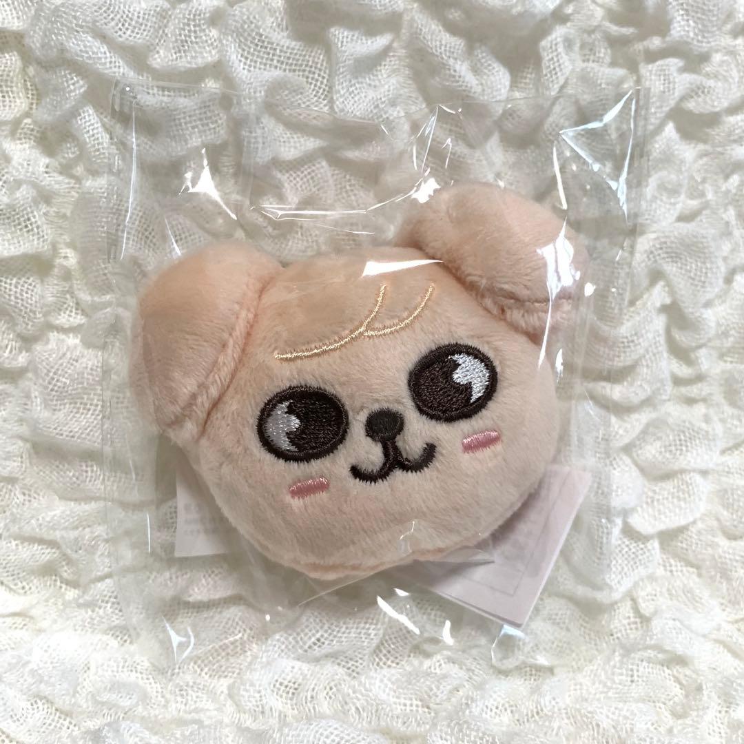 Stray Kids スキズ Seungmin スンミン PuppyM パピーム - メルカリ