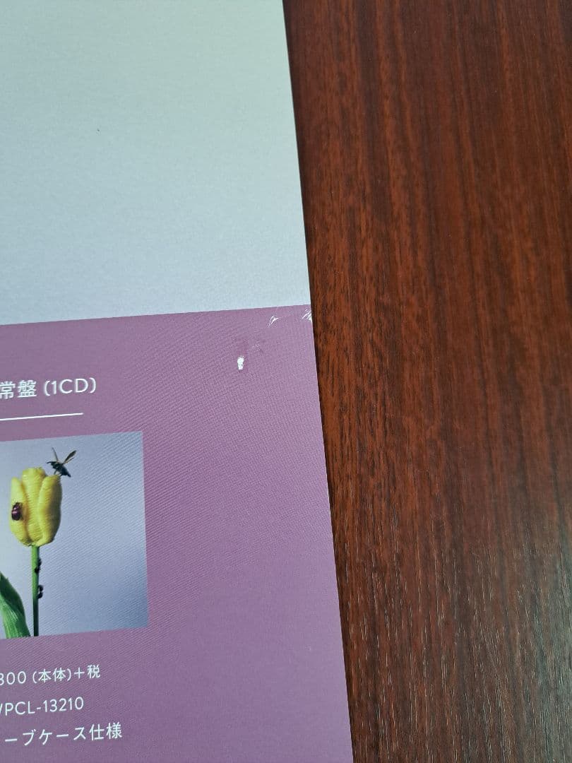 【激レア/希少/当時物】あいみょん「おいしいパスタがあると聞いて」★ポスター