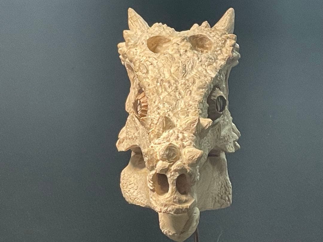 木彫　恐竜　ドラコレックス　頭骨模型
