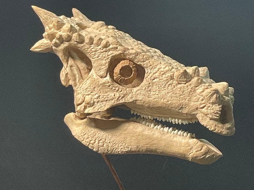 木彫　恐竜　ドラコレックス　頭骨模型