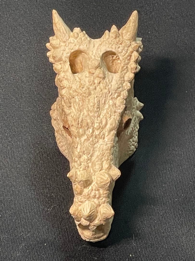 木彫　恐竜　ドラコレックス　頭骨模型