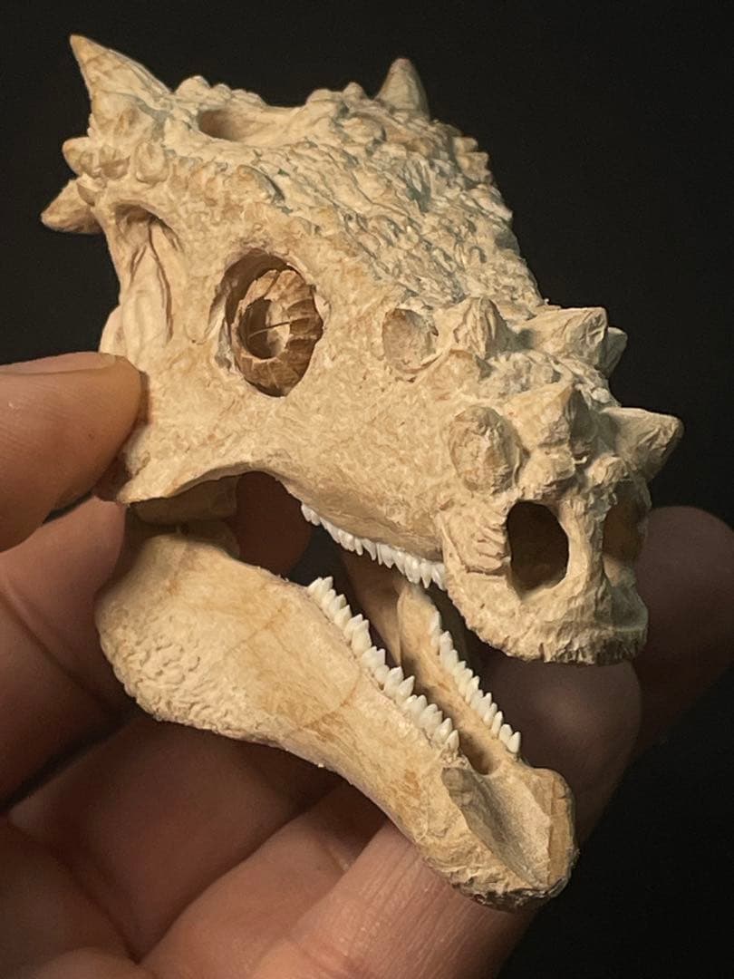 木彫　恐竜　ドラコレックス　頭骨模型