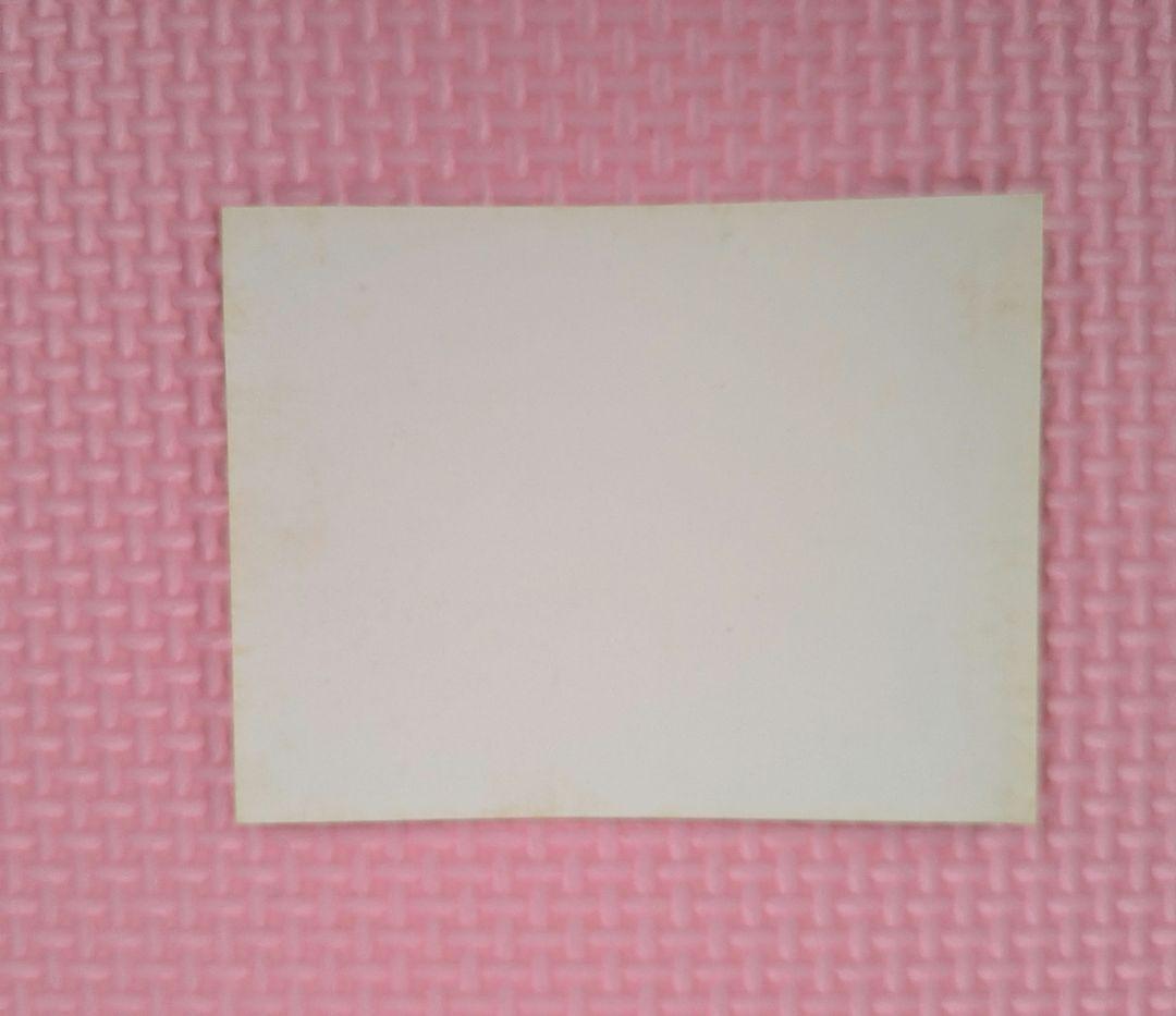 未使用、保管汚れあり 家庭教師ヒットマンREBORN!　レオン　パスケース　希少