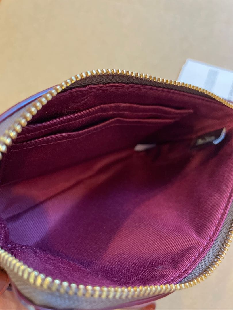 COACH/CW856】ポーチ ステッカープリント恐竜 いちごダイスダイナソー