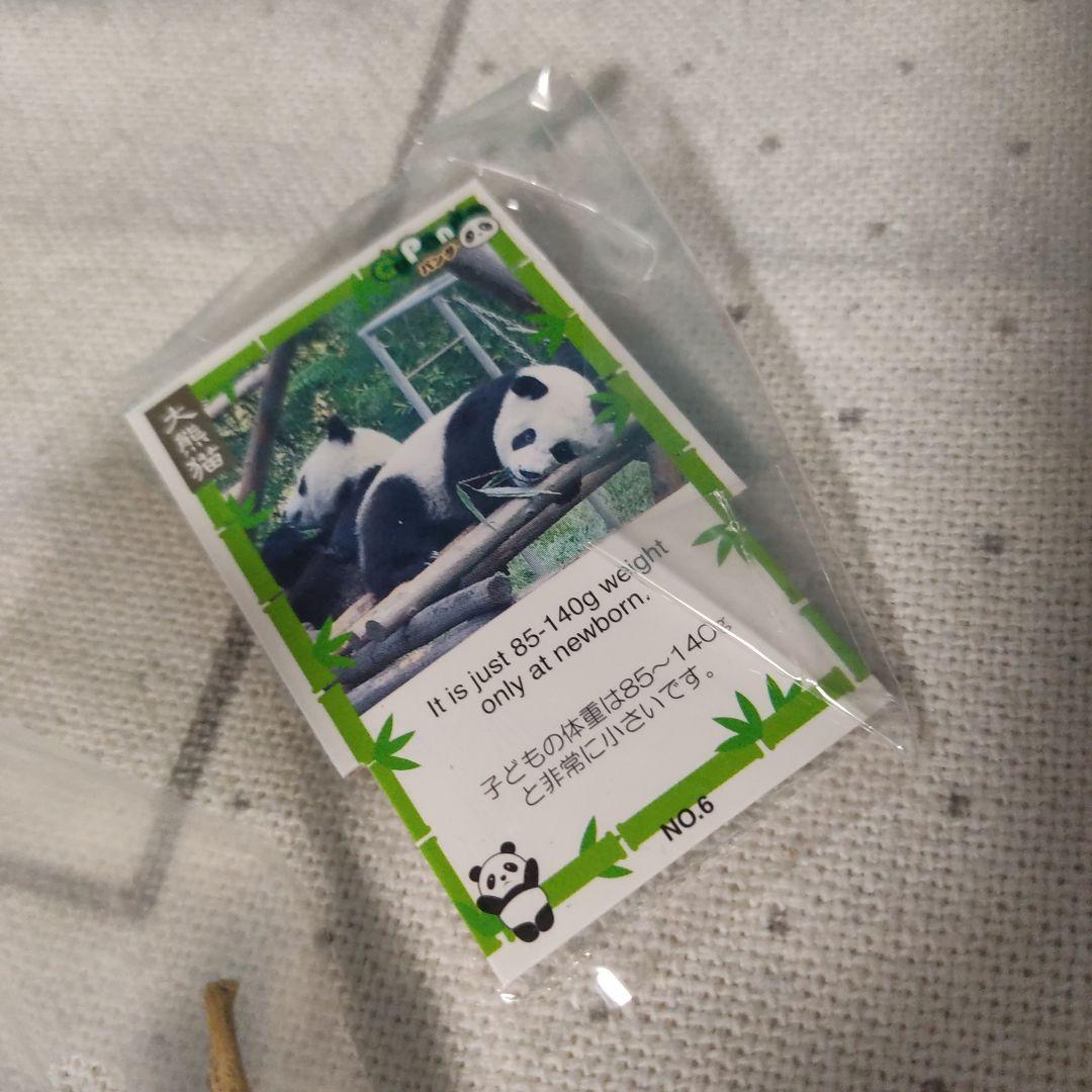 CuZoo CuPanda パンダ 大熊猫 キューズー キュービックルーム