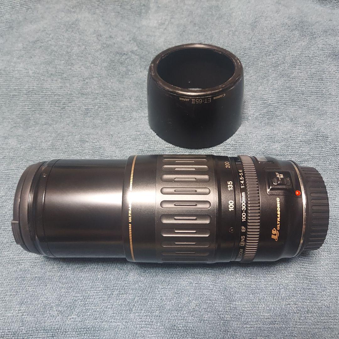 Canon EF100-300mm F4.5-5.6 USM ズームレンズ 望遠