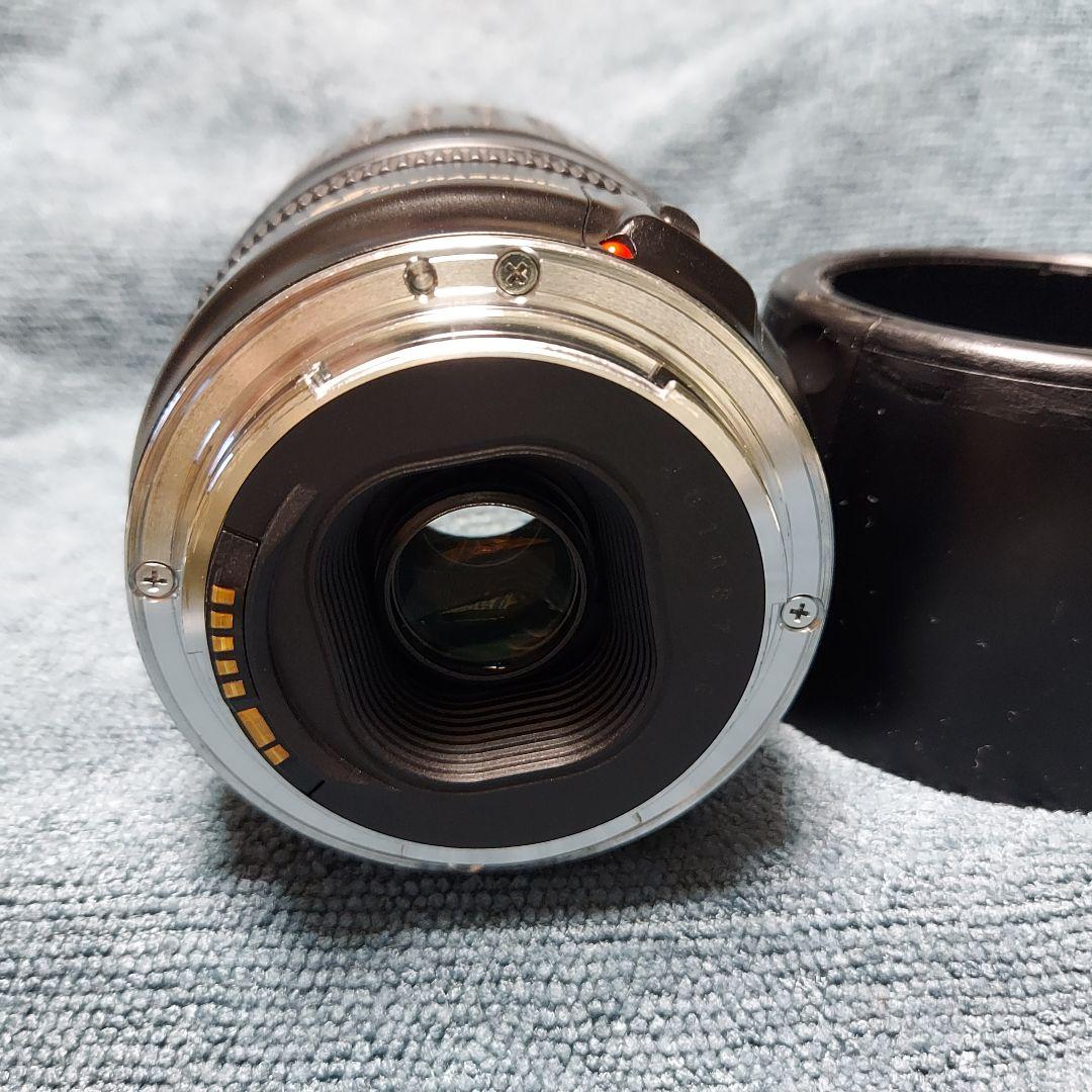 Canon EF100-300mm F4.5-5.6 USM ズームレンズ 望遠