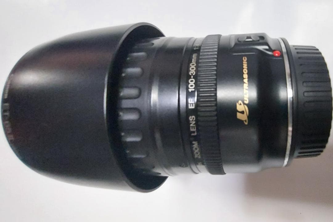 Canon EF100-300mm F4.5-5.6 USM ズームレンズ 望遠