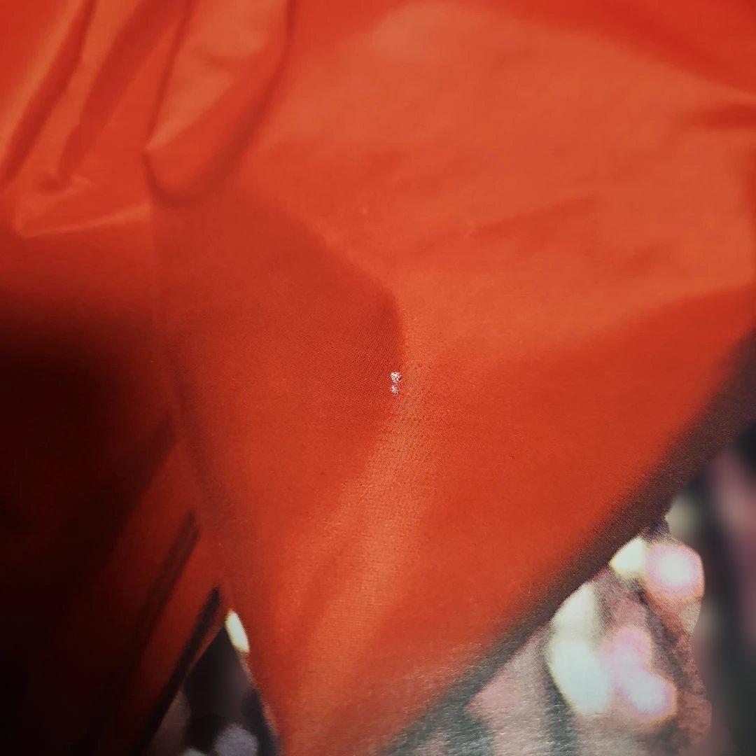 ayumi hamasaki evolution 告知ポスター