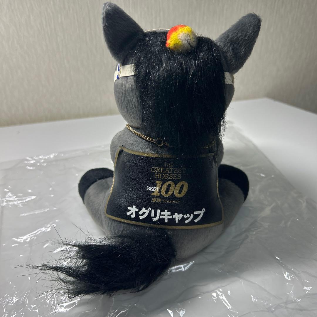 オグリキャップ アイドルホース