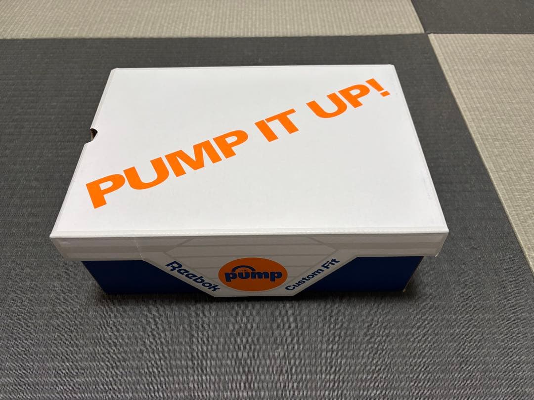 Reebok PUMPFURY ポンプフューリー 稲葉浩志 MAGMA 23cm