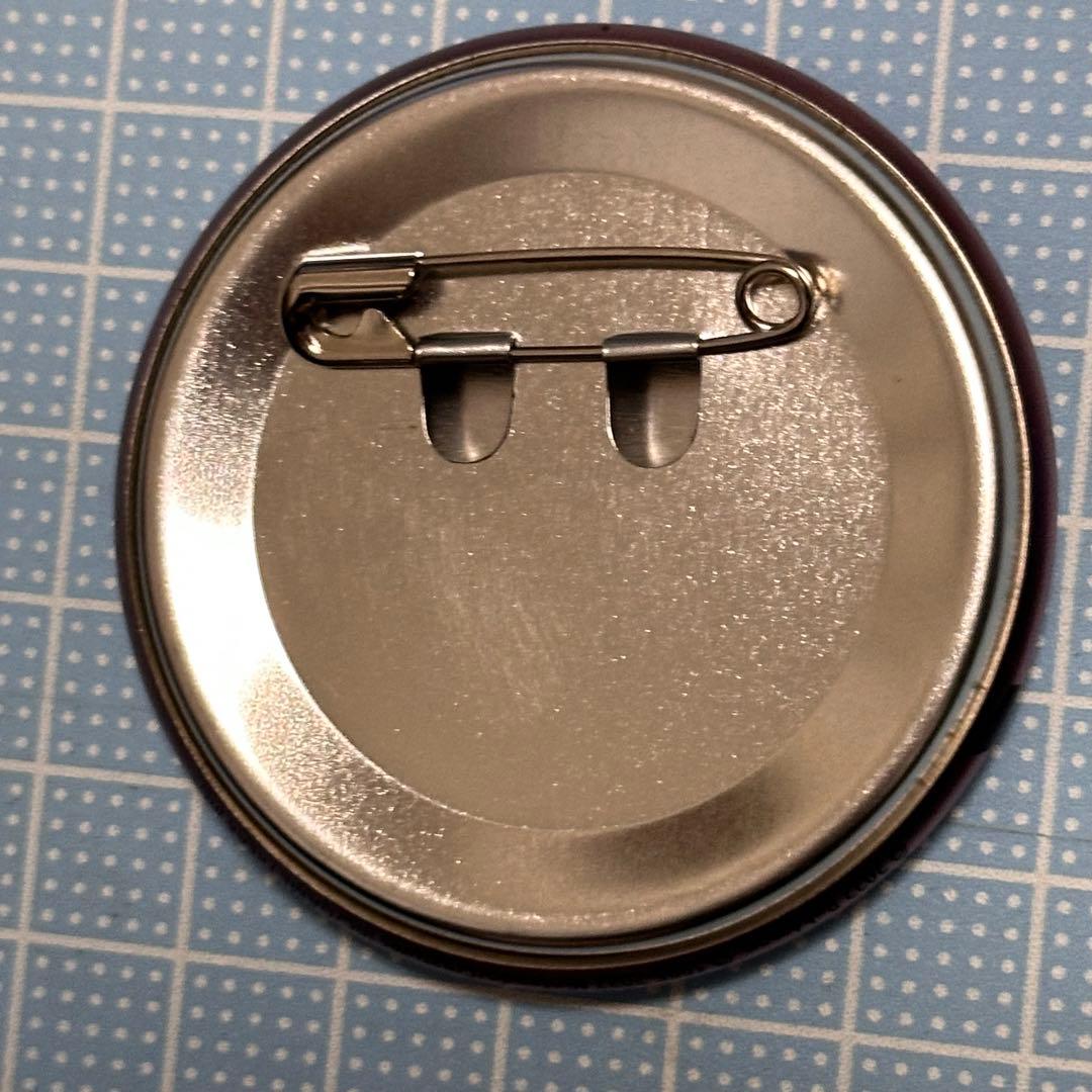 ポケモンセンター レジェンドアルセウス ノボリ オオニューラ 缶バッジ