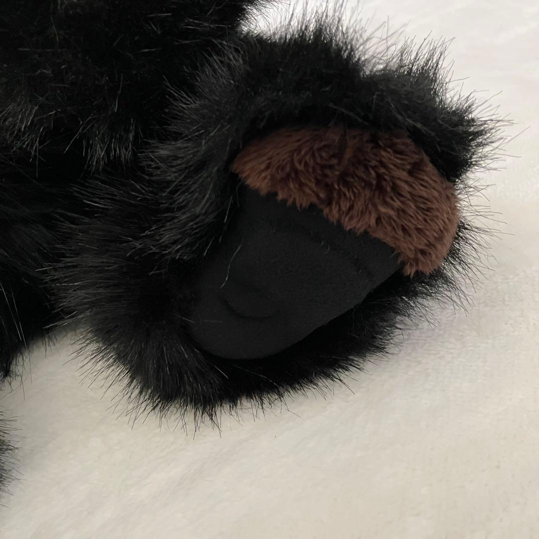 Charlie Bears テディベア ツキノワグマ チャーリーベアーズ