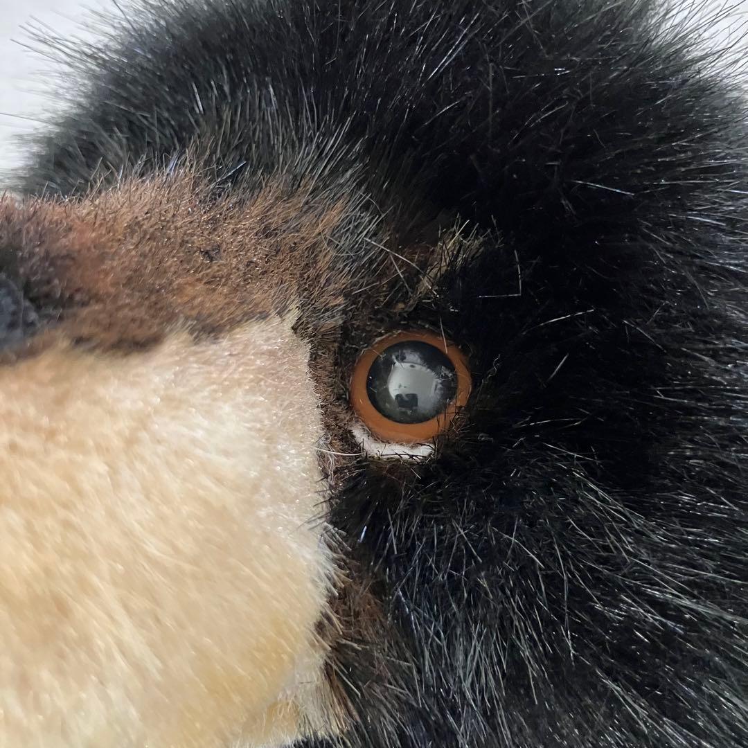 Charlie Bears テディベア ツキノワグマ チャーリーベアーズ