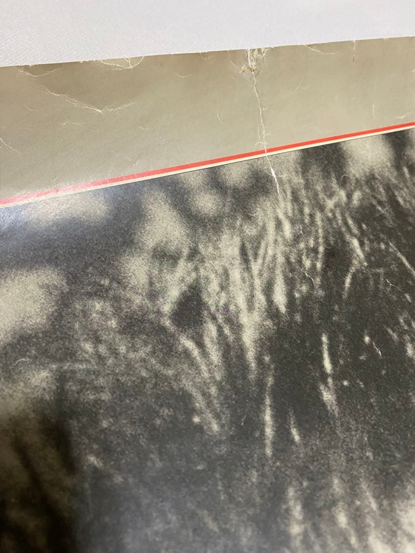 シド ビシャスポスター 大判 エイジングポスター SID