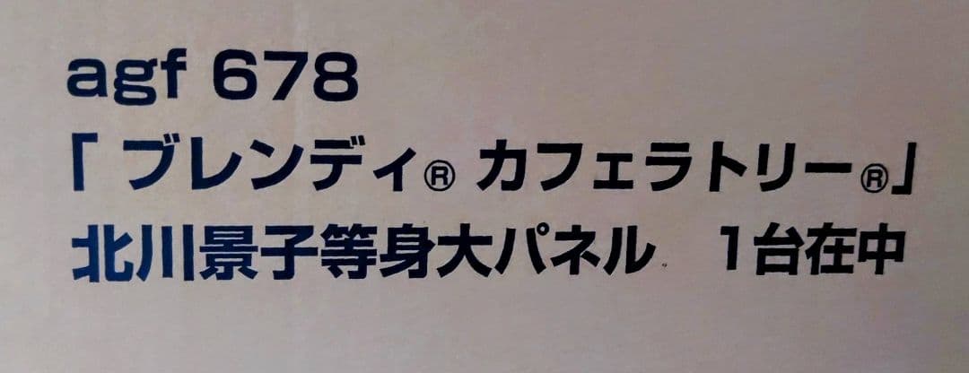 貴重 非売品 レア 北川景子 等身大 パネル 箱付 新品 - メルカリ