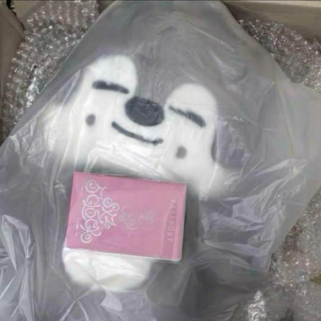 straykids スキズ テディベア SKZOO ウルフチャン teddy - メルカリ