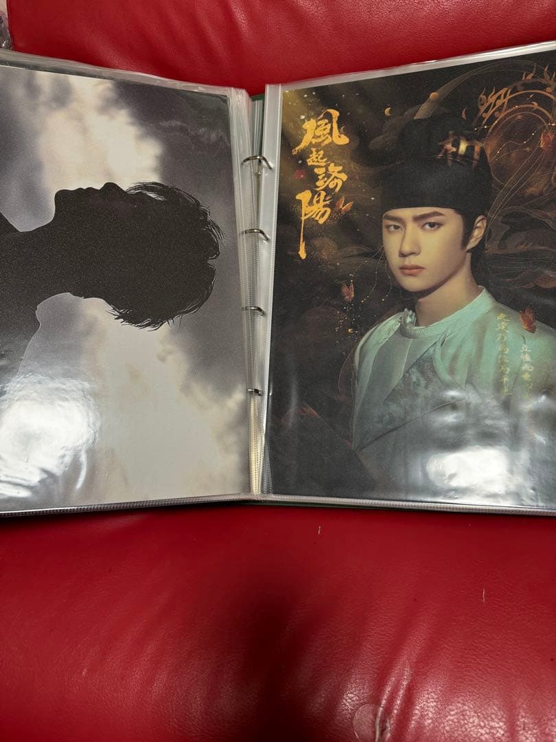 王一博ポスターカード　50枚　レア収納冊付き