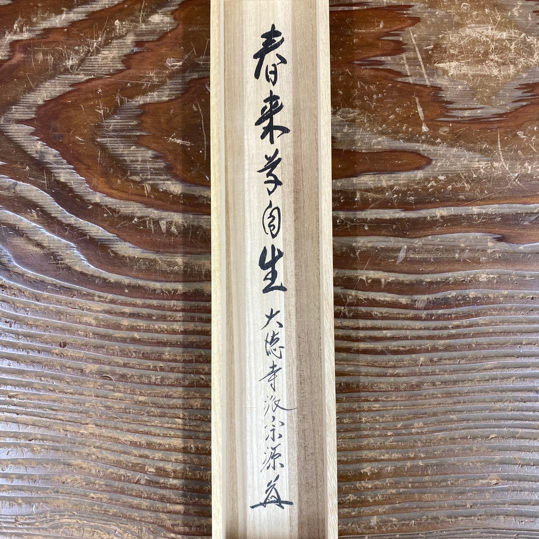美品 掛け軸 前田宗源作「春来草自生」大徳寺 共箱 禅語 茶掛 - メルカリ