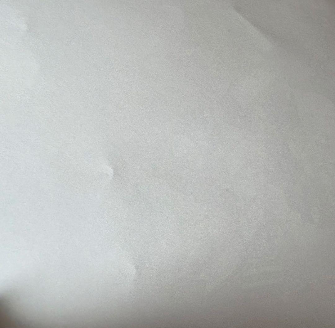 鬼滅の刃 禰豆子 誕生祭 バースデー ランチョンマット 7枚セット