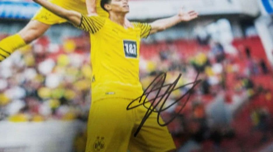 ハーランド ベリンガム 直筆サイン 普通紙 - メルカリ