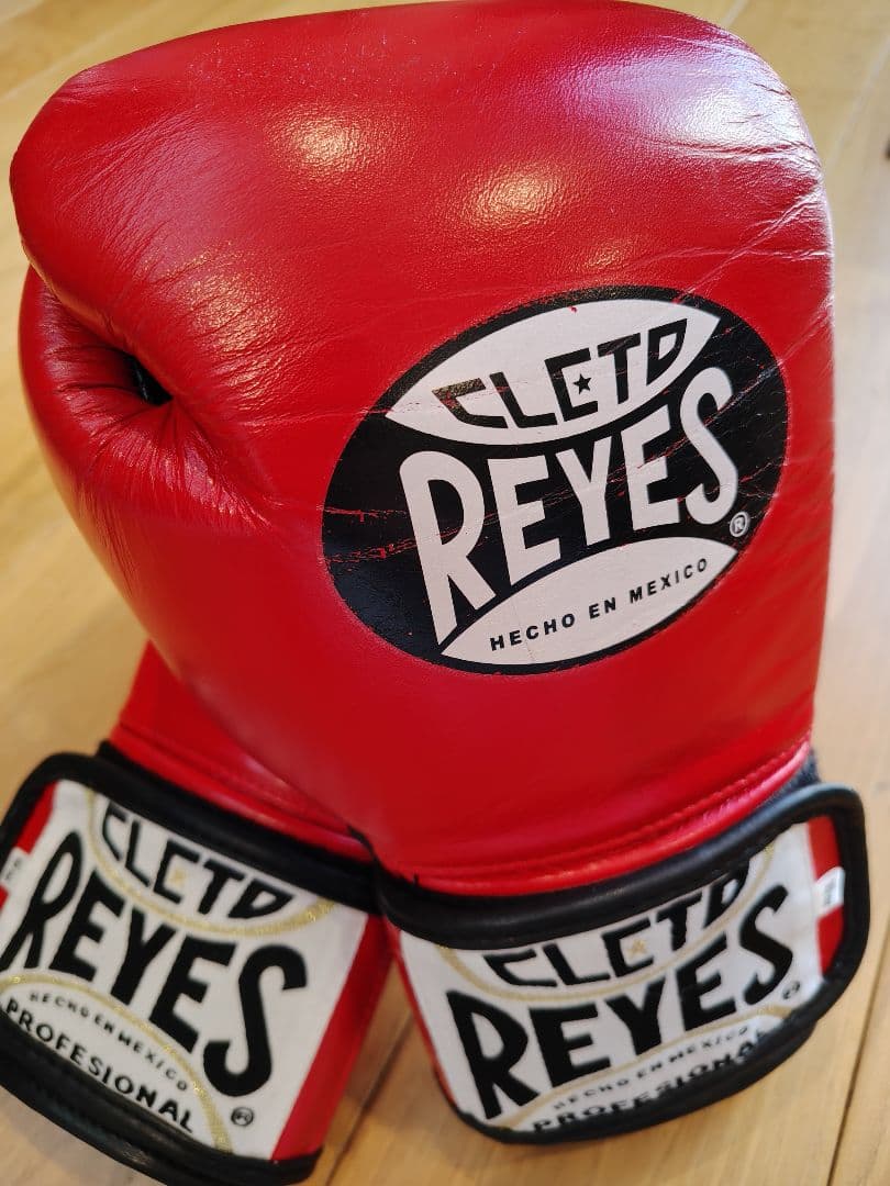 美品！レイジェス　グローブ　10オンス　レッド　赤　新品イサミ　ハーネス付き 美品！レイジェス グローブ 10オンス レッド 赤 新品イサミ ハーネス