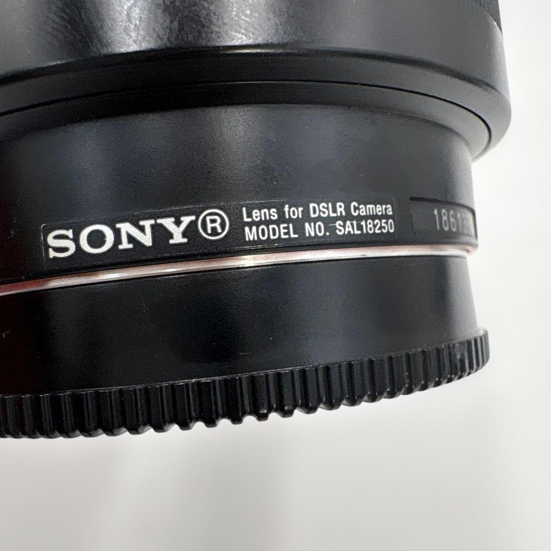 レンズ(ズーム) SONY DT 18-250mm F3.5-6.3 SAL18250