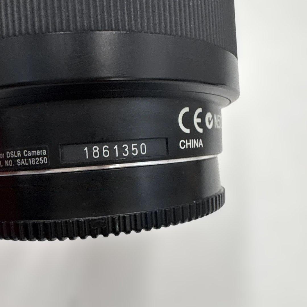 レンズ(ズーム) SONY DT 18-250mm F3.5-6.3 SAL18250