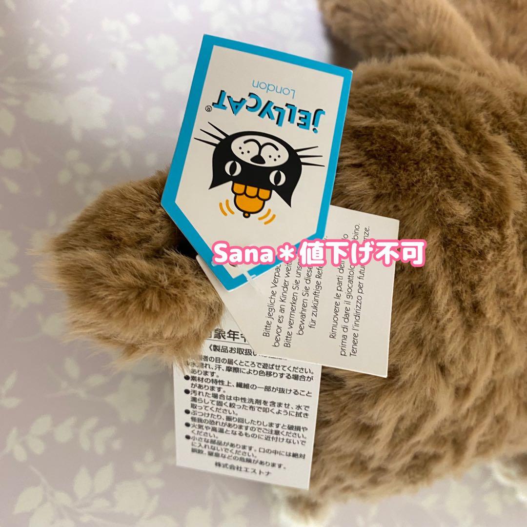 新品　廃盤　 Large Cocoa Bear テディベア