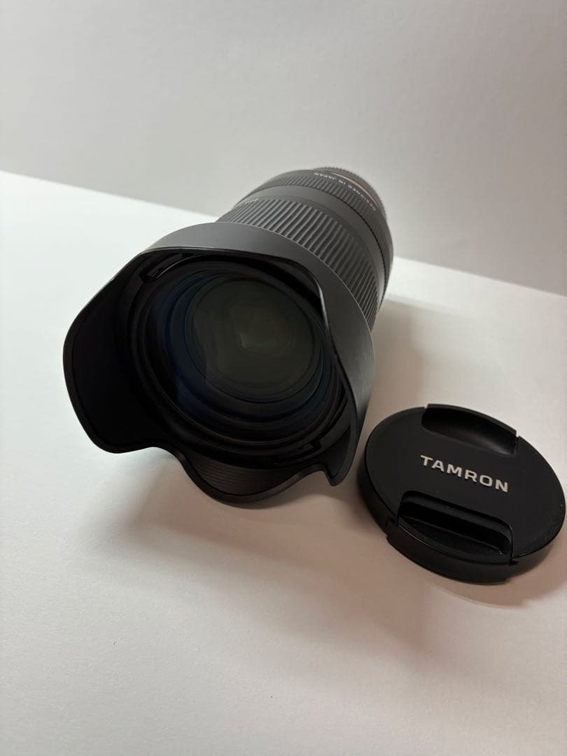 TAMRON 28-200mm F/2.8-5.6 Di III SONY E用