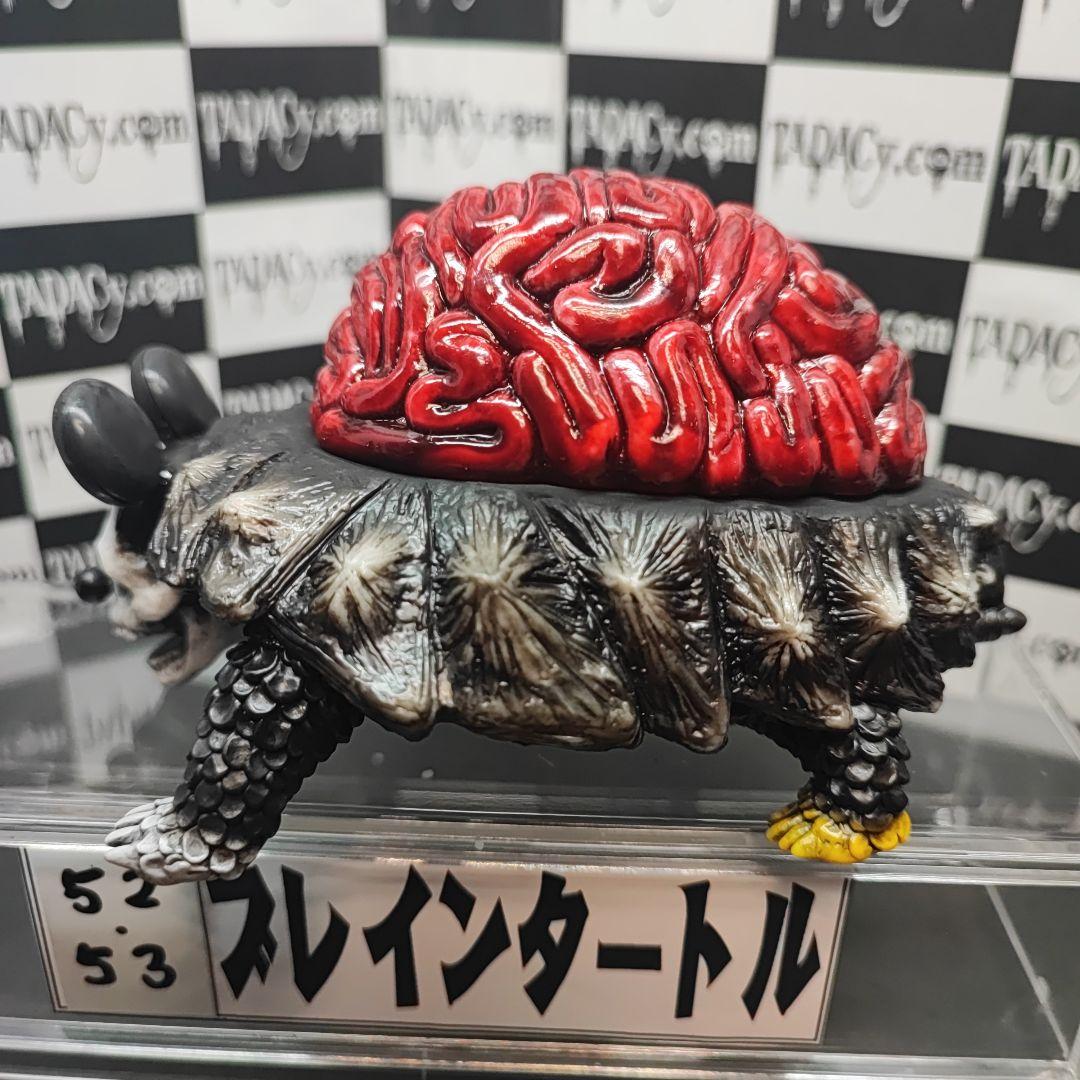 52.53ブレインタートル2体セット