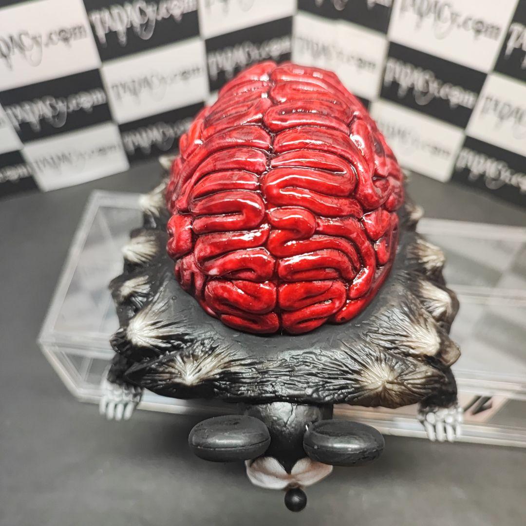 52.53ブレインタートル2体セット