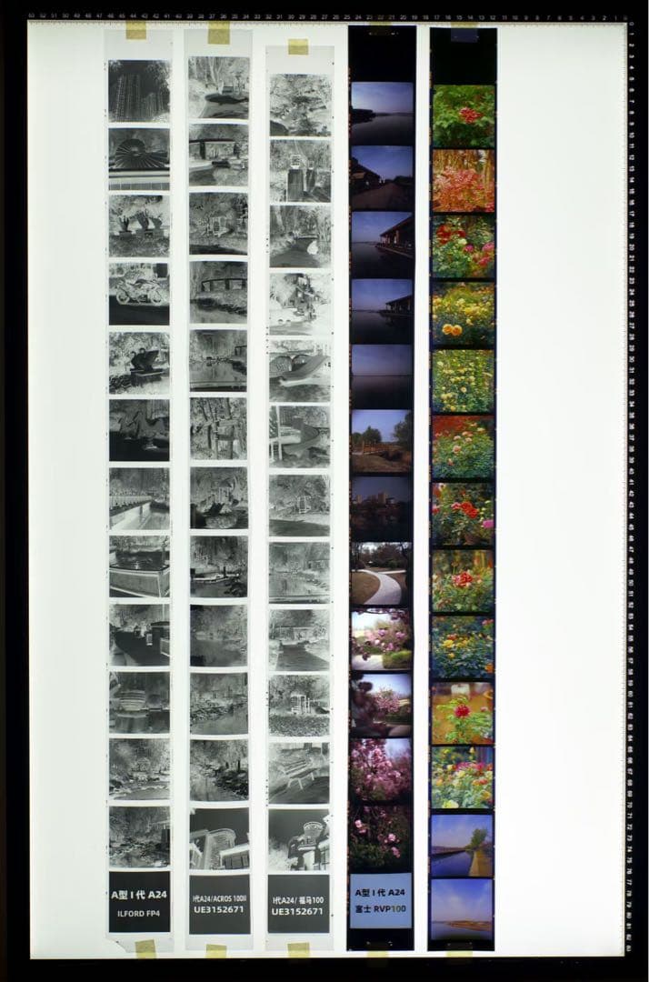 Hasselblad a12 改造済み品 13枚撮り① - メルカリ