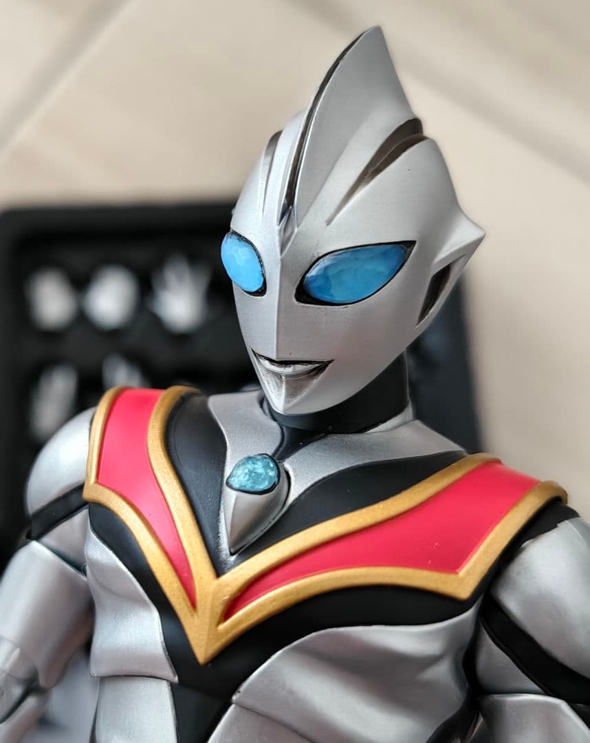 【改修品】S.H.Figuarts 真骨彫 イーヴィルティガ