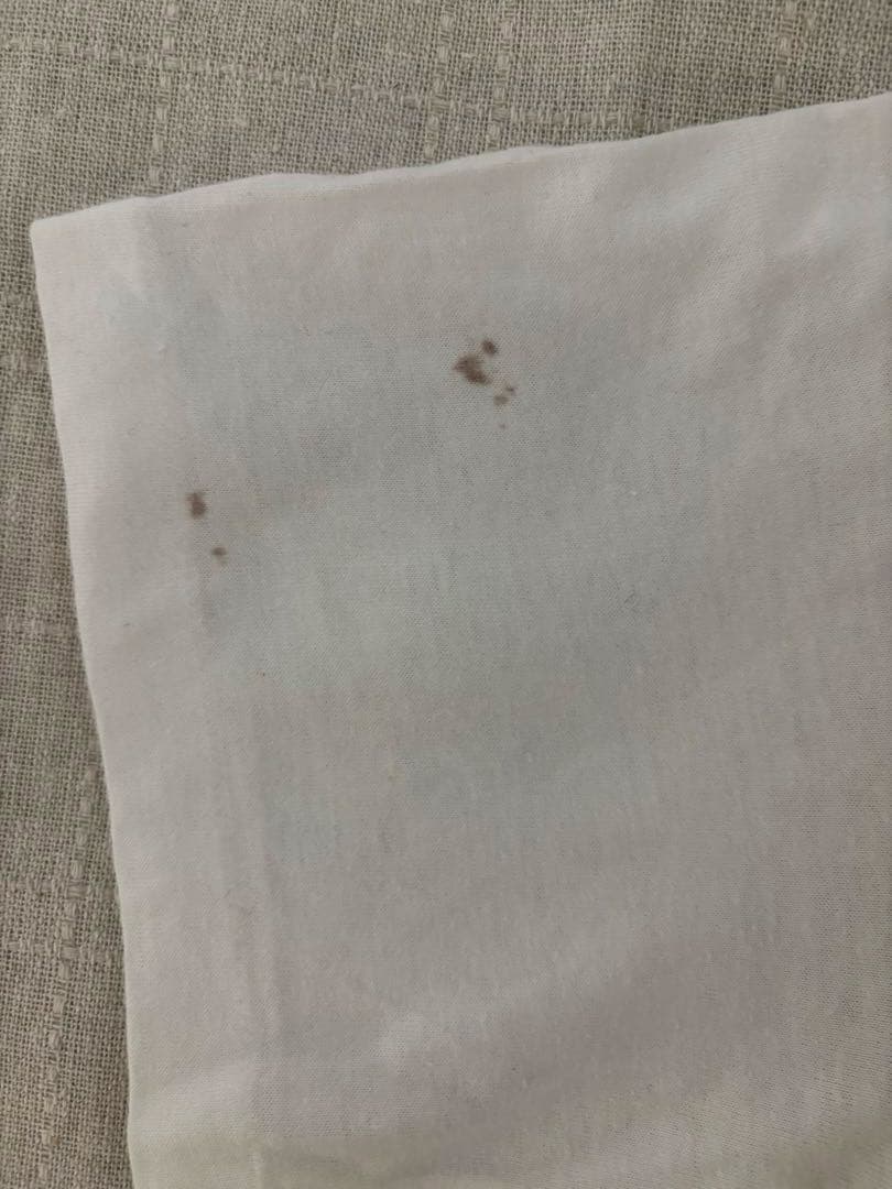 メタリカ　ツアー Tシャツ サイズM