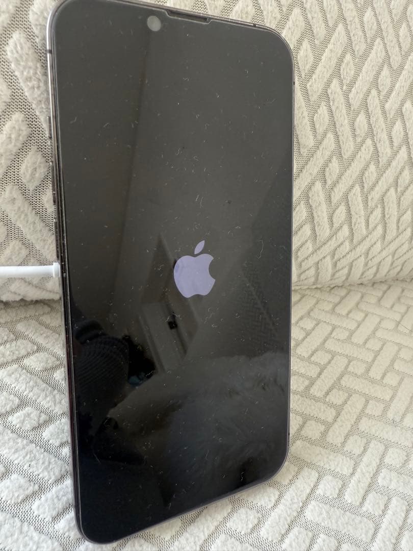 【ジャンク品】iPhone13 Pro 128GB 電源入らない／初期化済み target_04.png