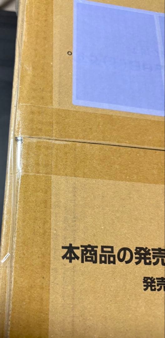 ガンダムカードゲーム Newtype Rising GD01 カートン未開封