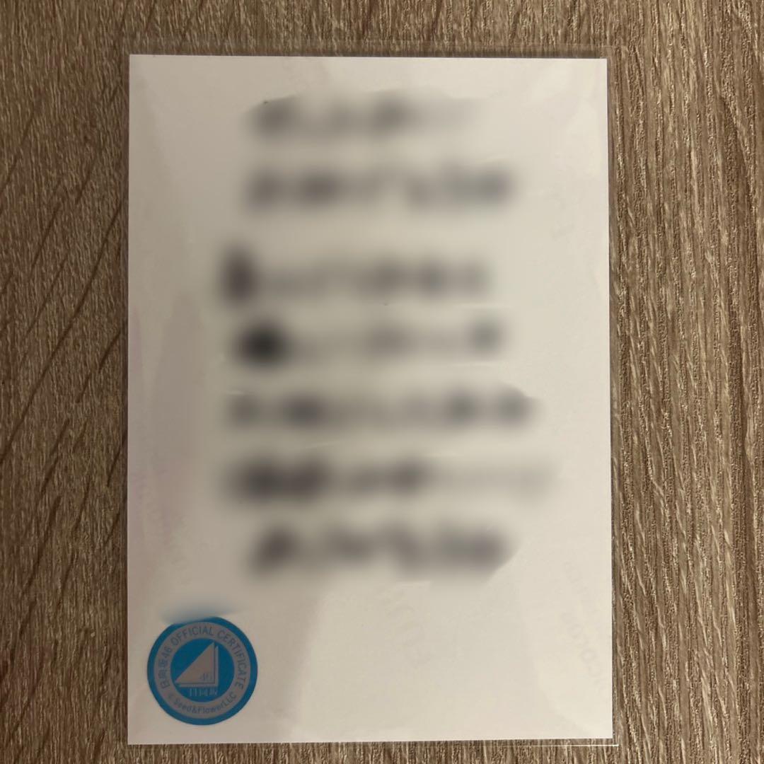 日向坂46 片山紗希　直筆　生写真　浴衣　サイン