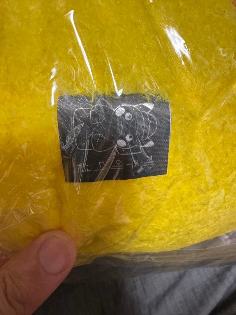 ポケモン big ピカチュウ ぬいぐるみ 韓国済州限定 チェジュ島　みかん