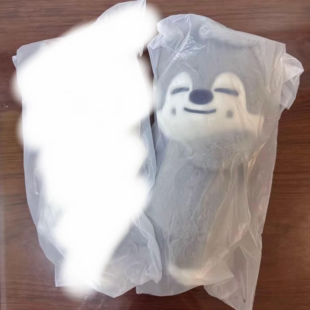 Stray Kids celebrATE プラッシュバッグ ウルフチャン　リスパ