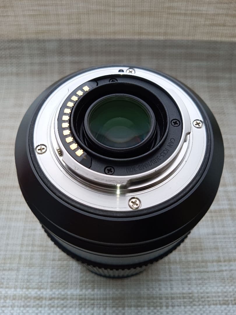 レンズ(ズーム) LUMIX G VARIO 100-300mm/F4.0-5.6 II