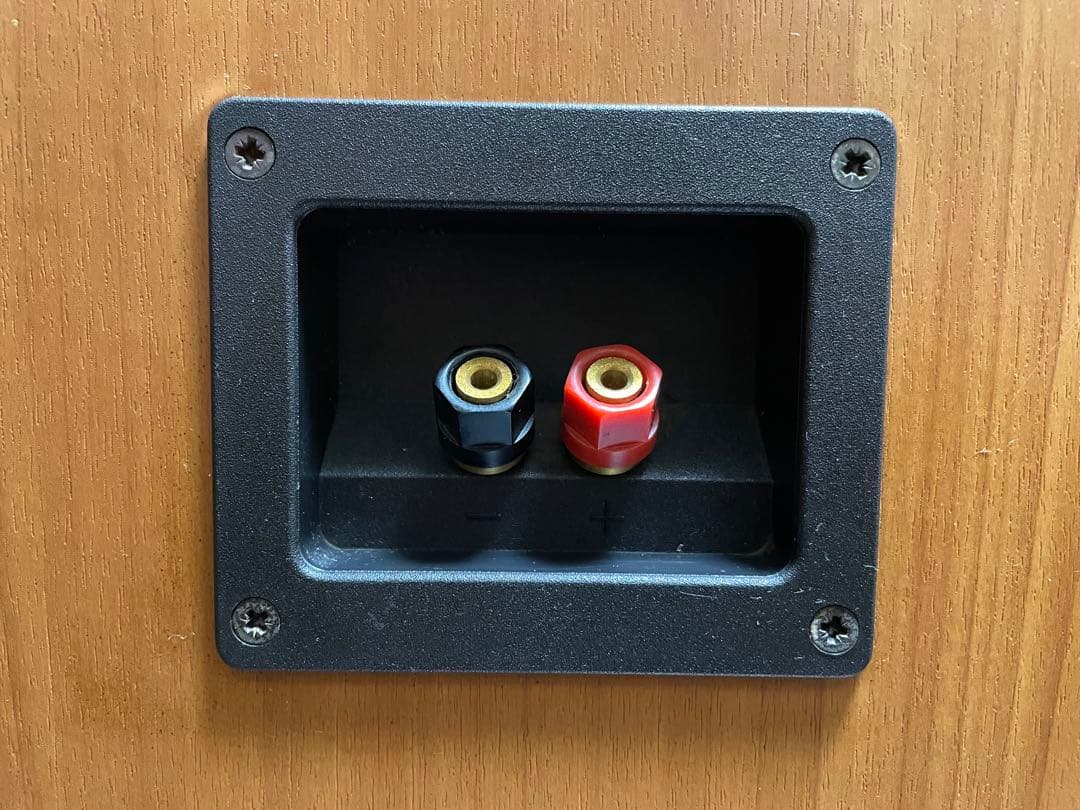 ACOUSTIC RESEARCHアコースティックリサーチ STATUS S20 - メルカリ