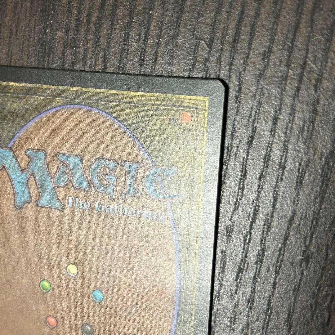 【日本語Foil】《新緑の地下墓地/Verdant Catacombs》ZEN