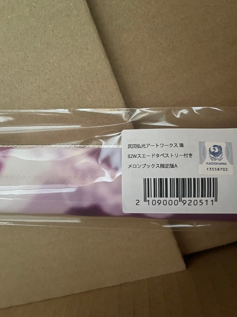 【有償特典】メロンブックス限定 B2タペストリー 武田弘光 アートワークス 珠