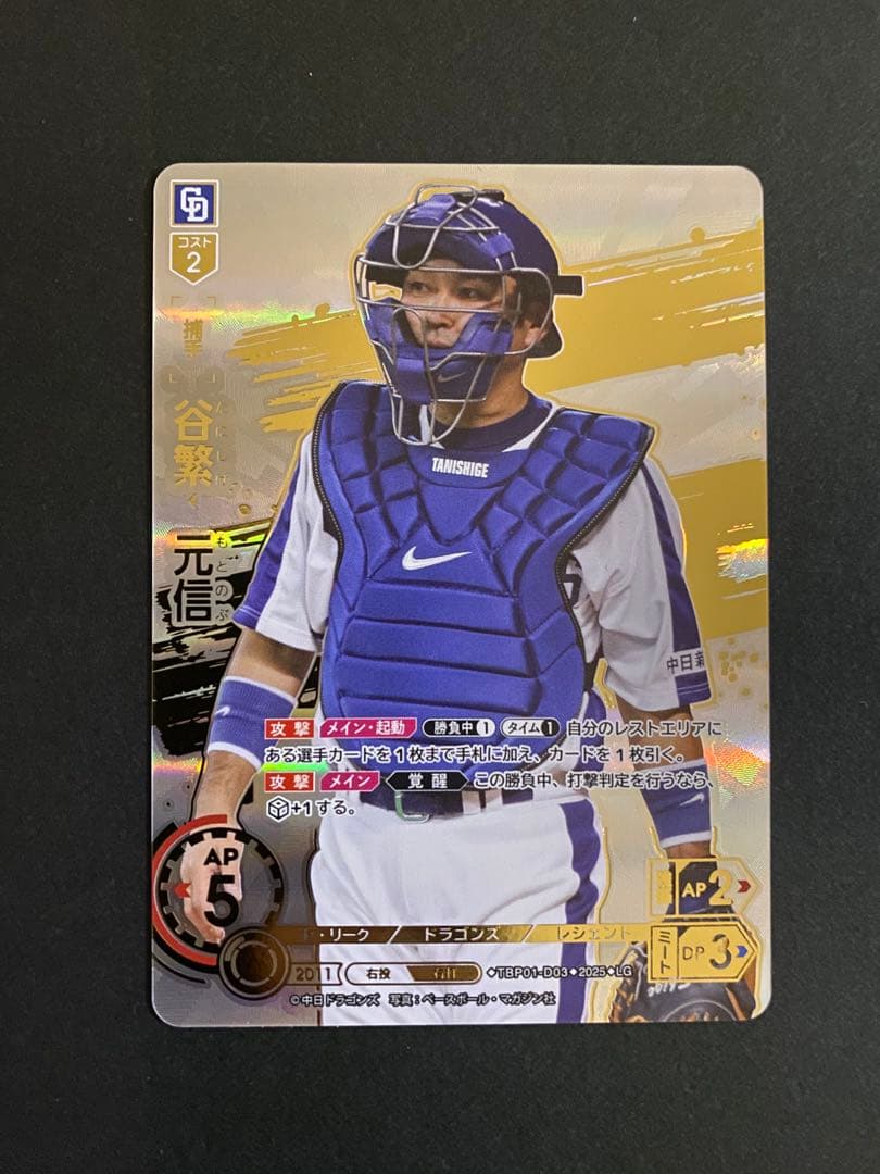 ドリームオーダー 谷繁元信 LG - メルカリ