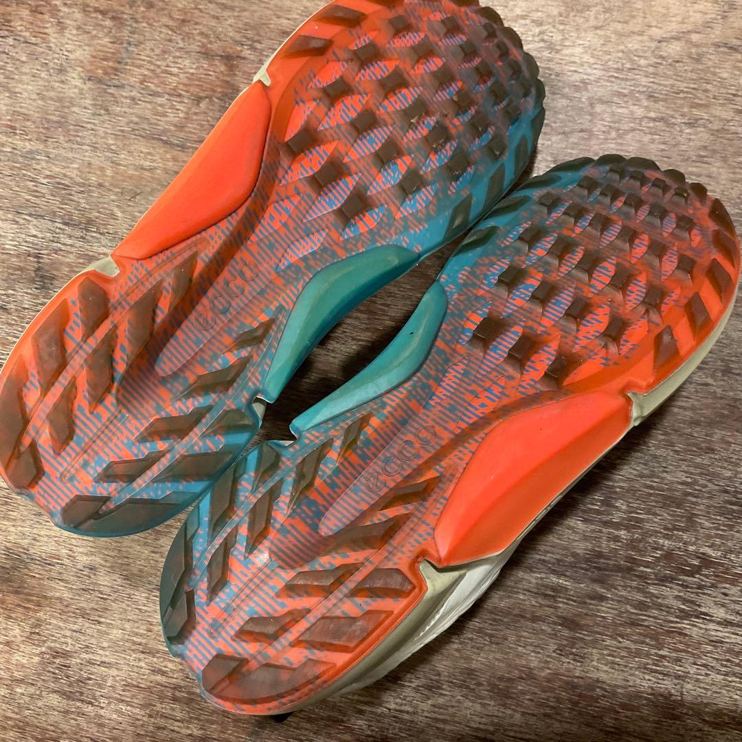 エコー ゴルフシューズ スパイクレス 24.5cm バイオム ハイブリッド4